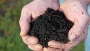 Bay Area Bountiful: Healthy Soil