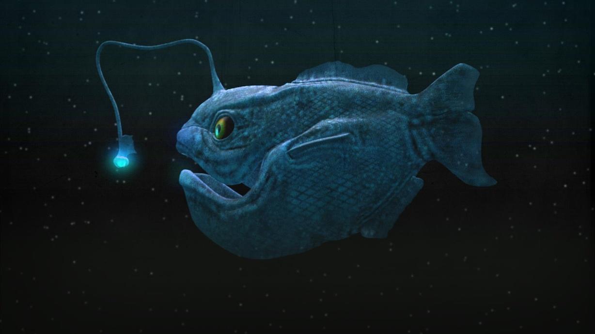 When Fish (Finally) Conquered the Deep Sea | Watch Eons on PBS