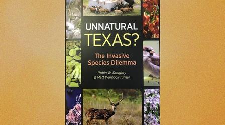 Video thumbnail: Central Texas Gardener Invasive Species Dilemma