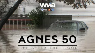 The Agnes Sequel
