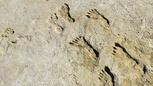 Video thumbnail: NOVA Ice Age Footprints