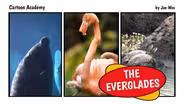 The Everglades