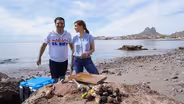 Legends of the Sonoran Sea