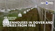 Greenhouses In Dover and Stories from 1985