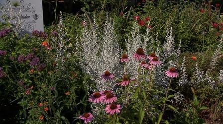 Video thumbnail: Volunteer Gardener Volunteer Gardener 2820