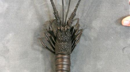 Video thumbnail: Antiques Roadshow Appraisal: Meiji Period Iron Spiny Lobster
