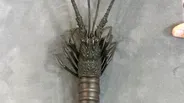 Appraisal: Meiji Period Iron Spiny Lobster