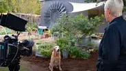 Hands-on Garden Design