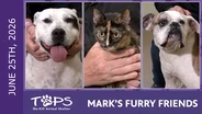 6/25/2026 | Jessie, Big Boy and Flaco | Mark's Furry Friends