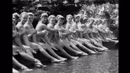 The Aqua Follies
