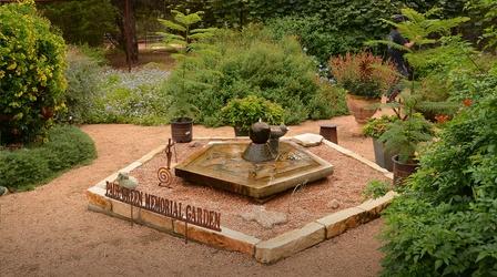 Video thumbnail: Central Texas Gardener Artistic Flair