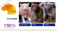11/14/2024 | Little Nicole, Jenna and Roman  | Mark's Furry Friends