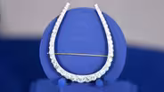 Appraisal: Diamond Horseshoe Brooch