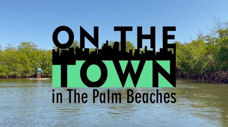 Video thumbnail: On The Town Eco-Paddle Board Tour at John D. MacArthur Beach State Park