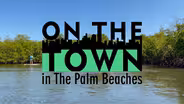 Eco-Paddle Board Tour at John D. MacArthur Beach State Park