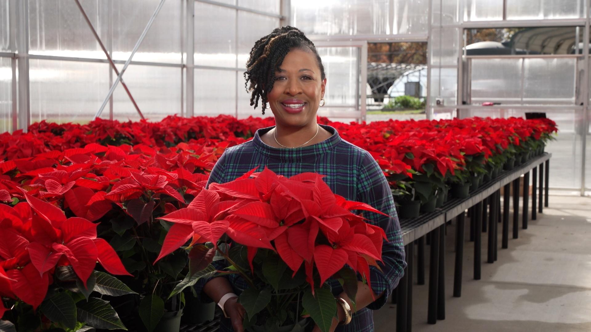 Deborah Holt Noel, host of NC Weekend holding a bright red poinsettia.