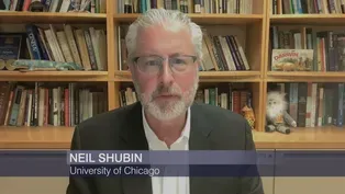 Neil Shubin Shares the Latest Science Headlines