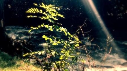 Video thumbnail: WITF Generations Yet to Come: Environmental Rights in PA