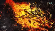 Central, West-Central Wisconsin Experiences Severe Wildfires