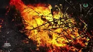 Central, West-Central Wisconsin Experiences Severe Wildfires