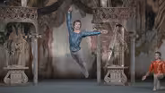 Rudolf Nureyev Performs in Swan Lake