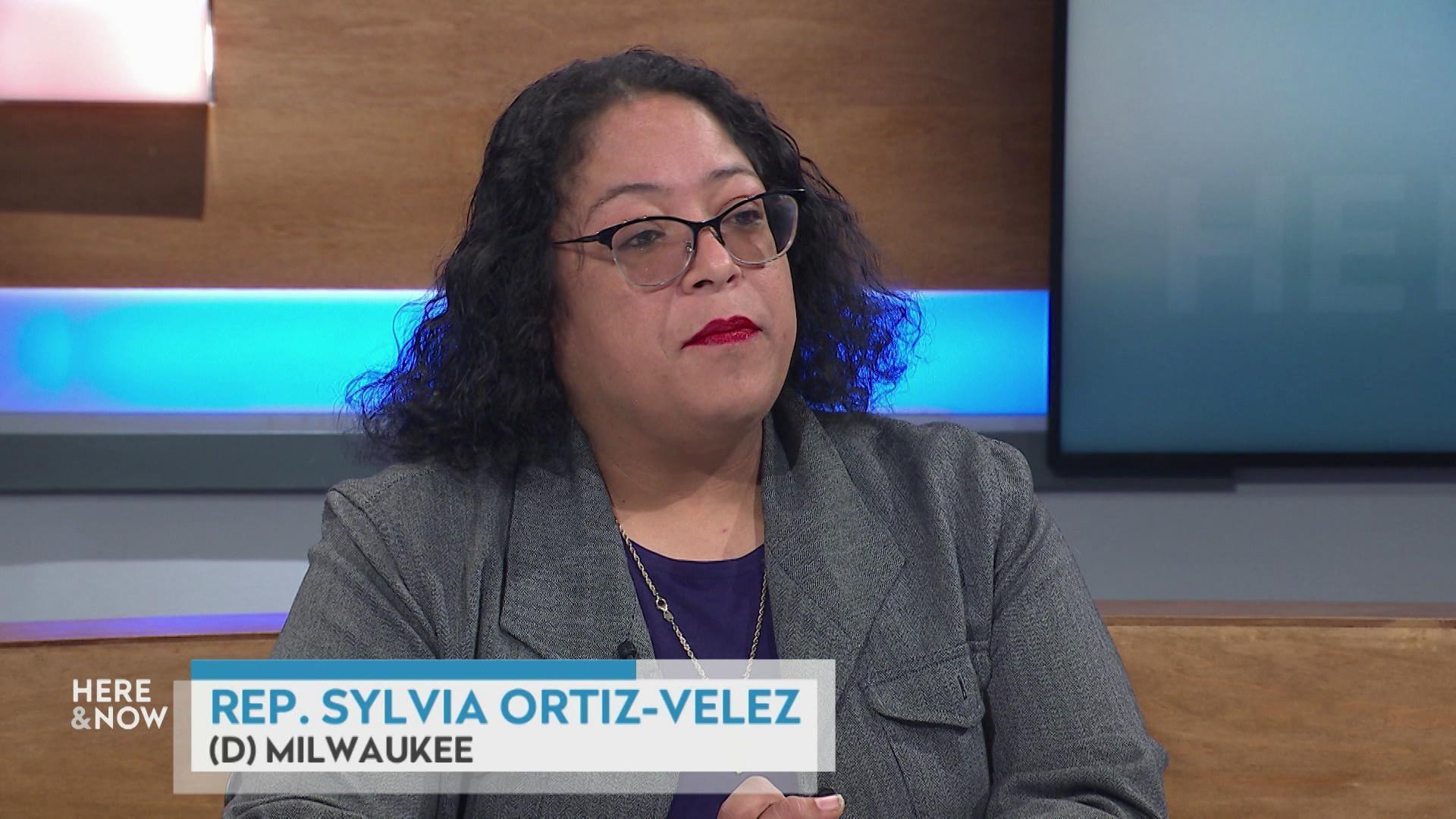 Rep. Sylvia Ortiz-Velez on state policy addressing ICE raids