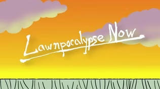 This Week's Essay