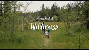 TRAILER | AMDO 3806 | POV: A New Kind of Wilderness