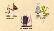 Good Bugs