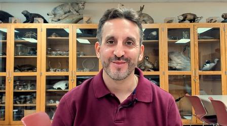Video thumbnail: University Place Birds as Sentinels of Climate Change