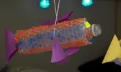 Make a Bubble Bottle Fish