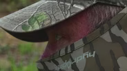 Turkey Season; Remembering Ron Rhody; Spawning Habitat