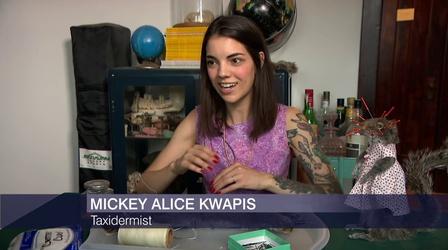Video thumbnail: Chicago Tonight Why Mickey Alice Kwapis Wants You to Love Taxidermy