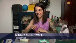 Why Mickey Alice Kwapis Wants You to Love Taxidermy