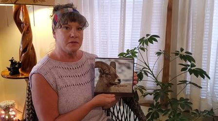 Video thumbnail: Story Time with Wyoming Authors Barbara Rasco: M is for Majestic