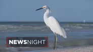The Debate in Florida over Offshore Oil and Gas Drilling