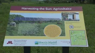 Solar Farms and Agriculture