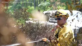 Wildfire in Bass River State Forest 50% contained by Friday