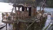 Derelict Vessels