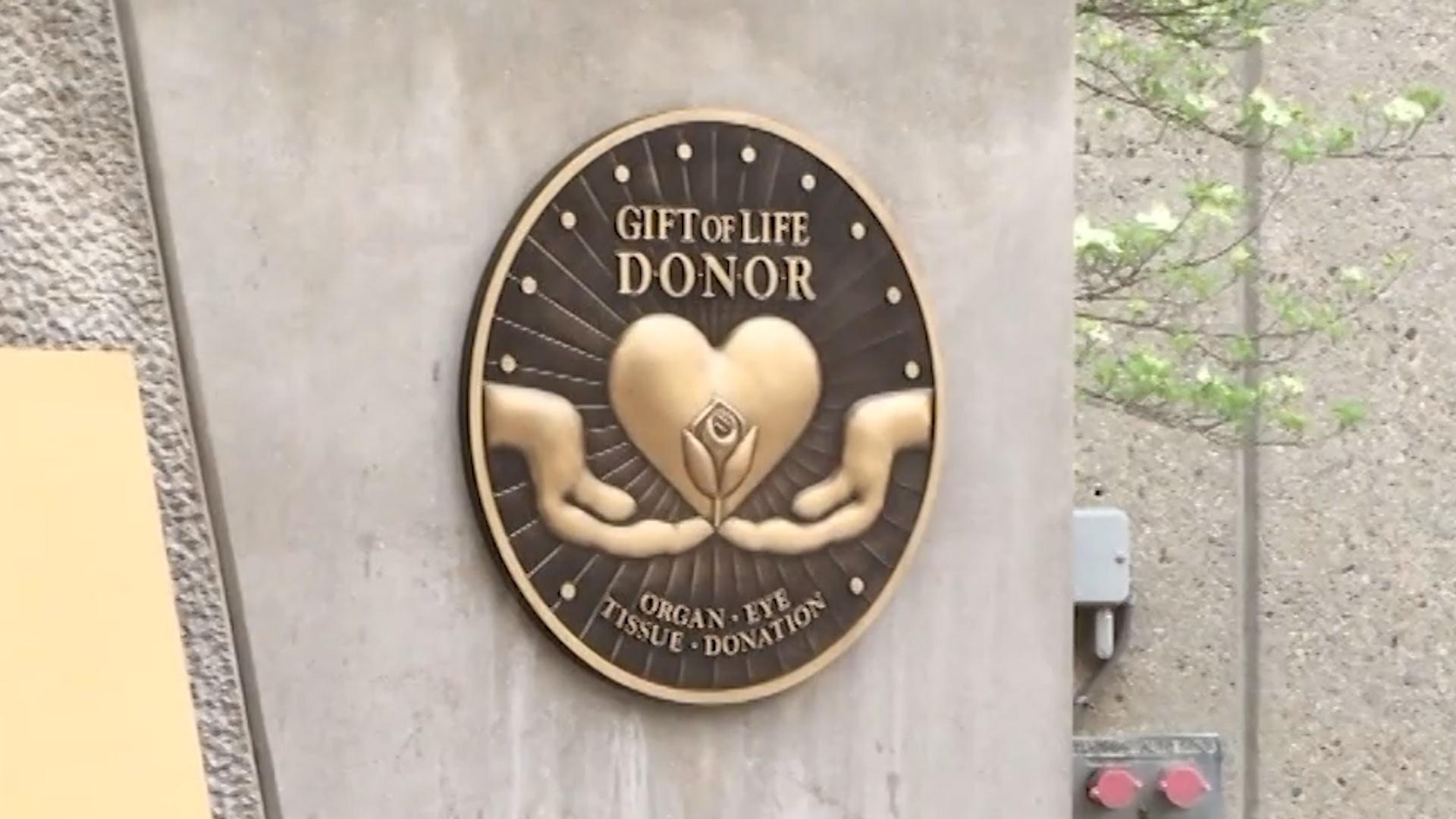 UofL Honors Organ Donors During National Donate Life Month