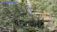 Kentucky Utility Workers Helping Out