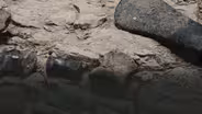 The Strange Graveyard At The Cleveland-Lloyd Dinosaur Quarry