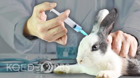 Video thumbnail: Above The Noise Why Are We Still Using Animals For Medical Research?
