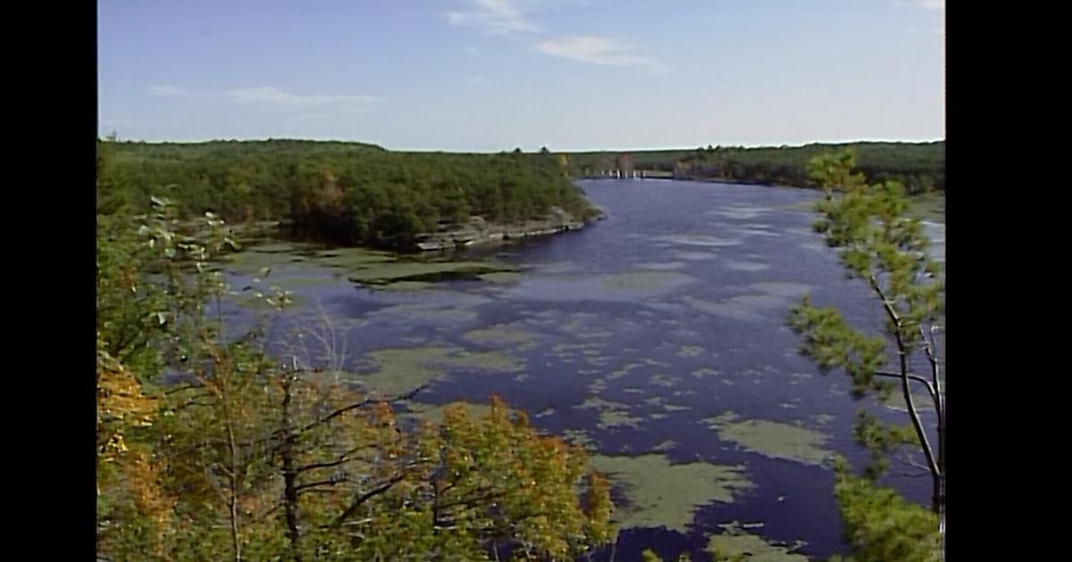 Mountain Lake PBS Documentaries, Forever Wild