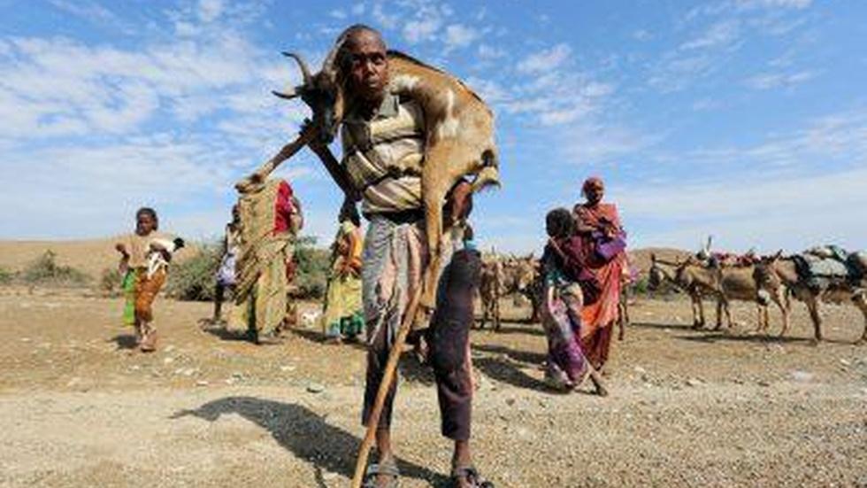 Drought and famine threaten life for nomadic Somali herders image