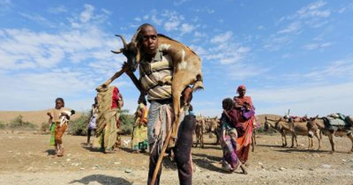 Pbs Newshour Drought And Famine Threaten Life For Nomadic Somali