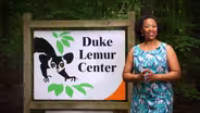 Promo for August 27, 2020