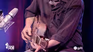 Tinsley Ellis, The Page Brothers Band