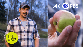 Food Forest: Living Off The Land in The Last Frontier | INDIE ALASKA: asset-mezzanine-16x9