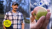 Food Forest: Living Off The Land in The Last Frontier | INDIE ALASKA